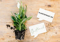 Plantepragt online gift card