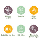 Photinia fraseri 'Red Robin' – 8 st. vintergröna häckväxter med röda och gröna blad – Täcker 1 meter – Höjd 30-35 cm – Kruka Ø9 cm 