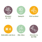 Hækplante – Euonymus japonicus Green Spire – 8 Planter – 1 Løbende Meter – Stedsegrøn – Potte 9 cm – Højde 20-25 cm