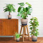 Nem pleje Plantekasse - medium - med Basket Lisbon sort